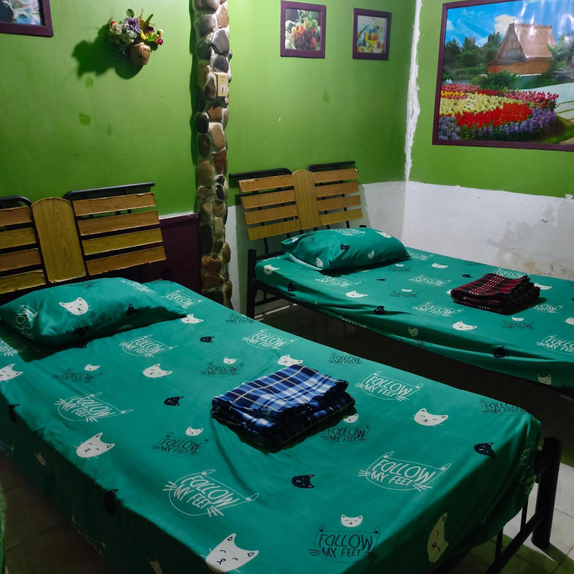 Sunny Tayai Hostel 拜县 外观 照片